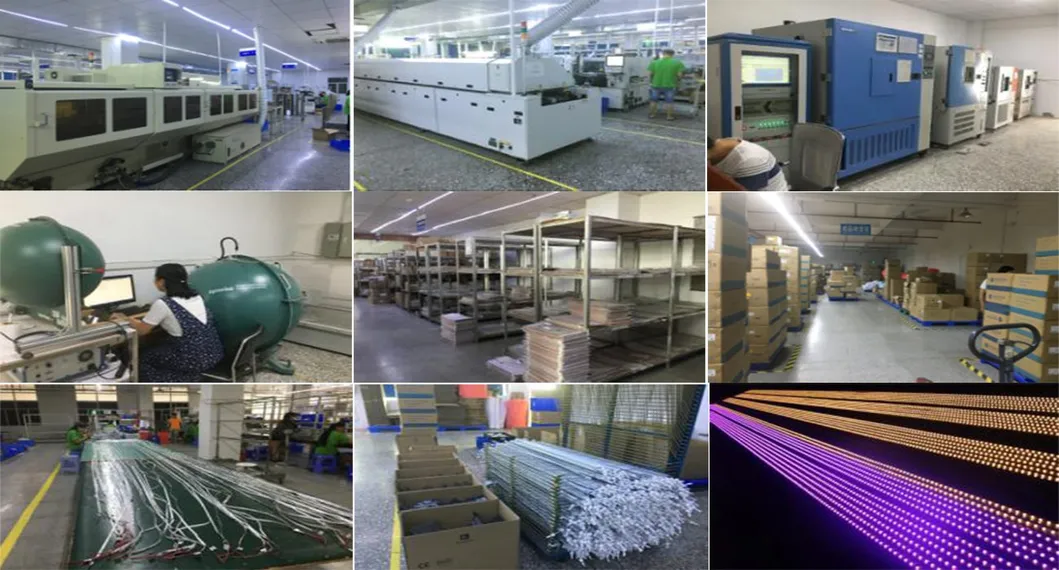 10W AC/DC Single Output LED Switching Power Supply with Ce RoHS