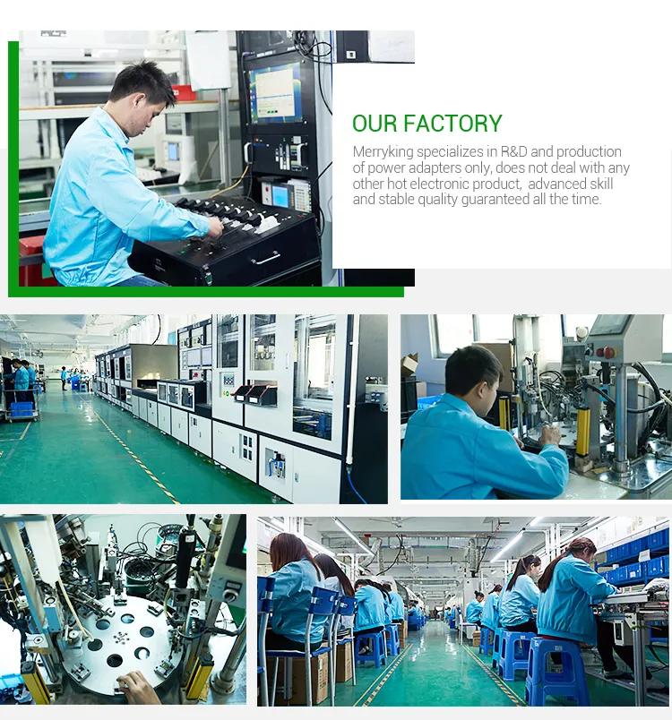 12V 1A 2A 3A Power Supply OEM Factory 12W AC DC Power Adapter with SAA C-Tick Ce Approval