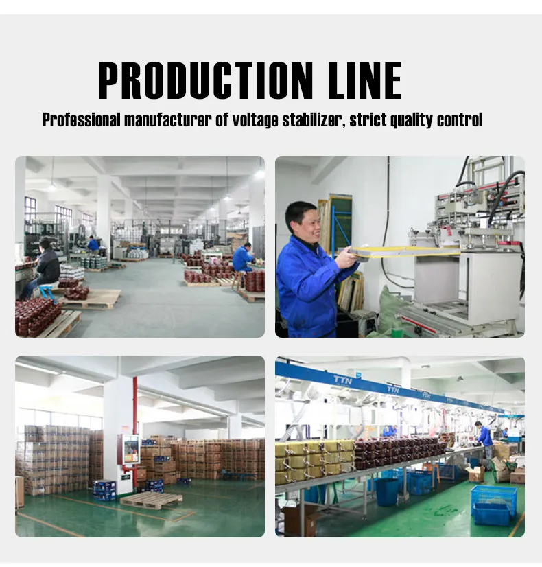 AC Automatic Voltage Stabilizer Pcsvc6000va Single Phase Servo Motor