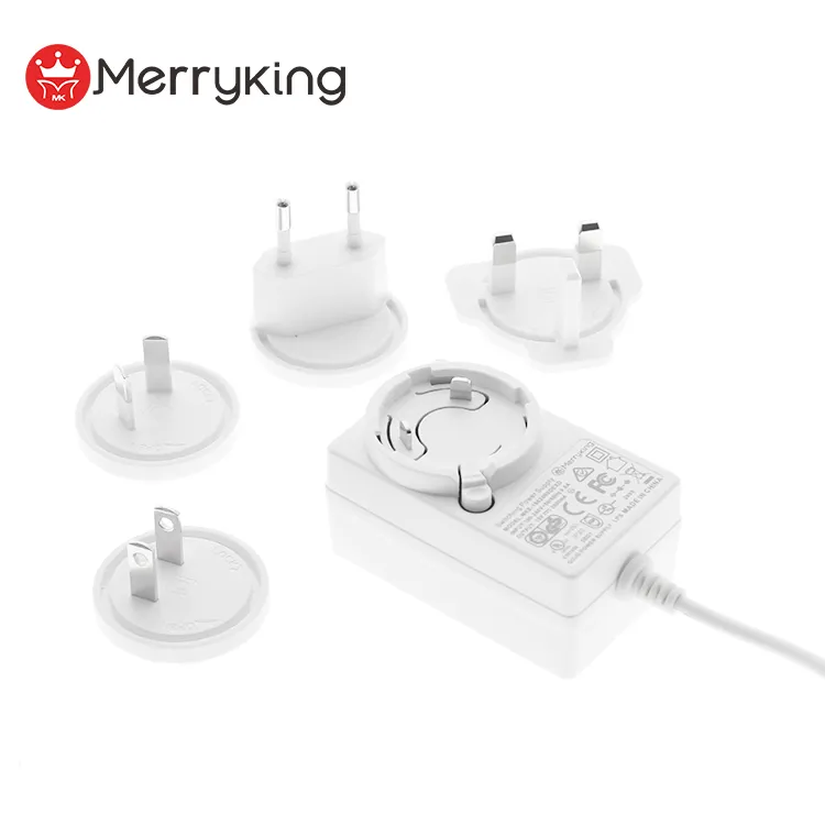 CE GS BS UL FCC SAA Rcm 24W AC DC Adapter 24V1a Multiple Plug Power Adapter with EU/Us/UK/Au Plug