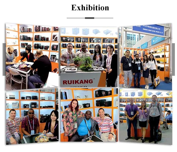 Color Customized Single Phase AC Voltage Stabilizer