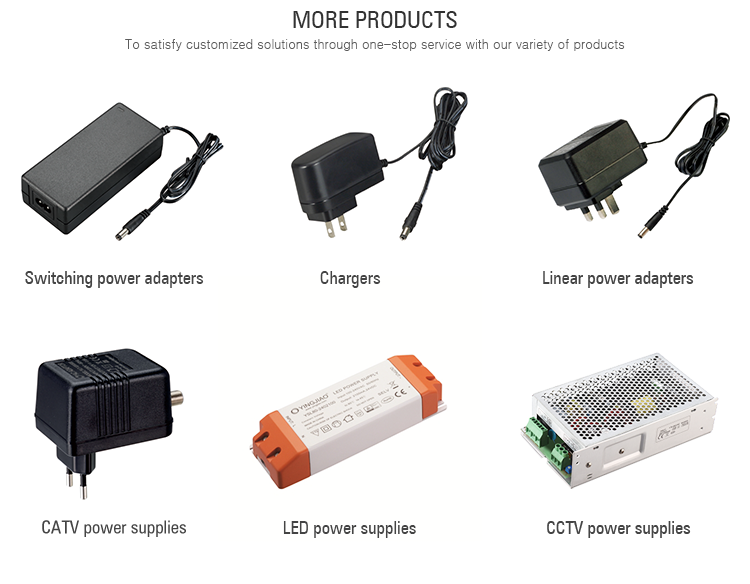Exporter Power Adapter Input AC Power Adapter with CB Approval
