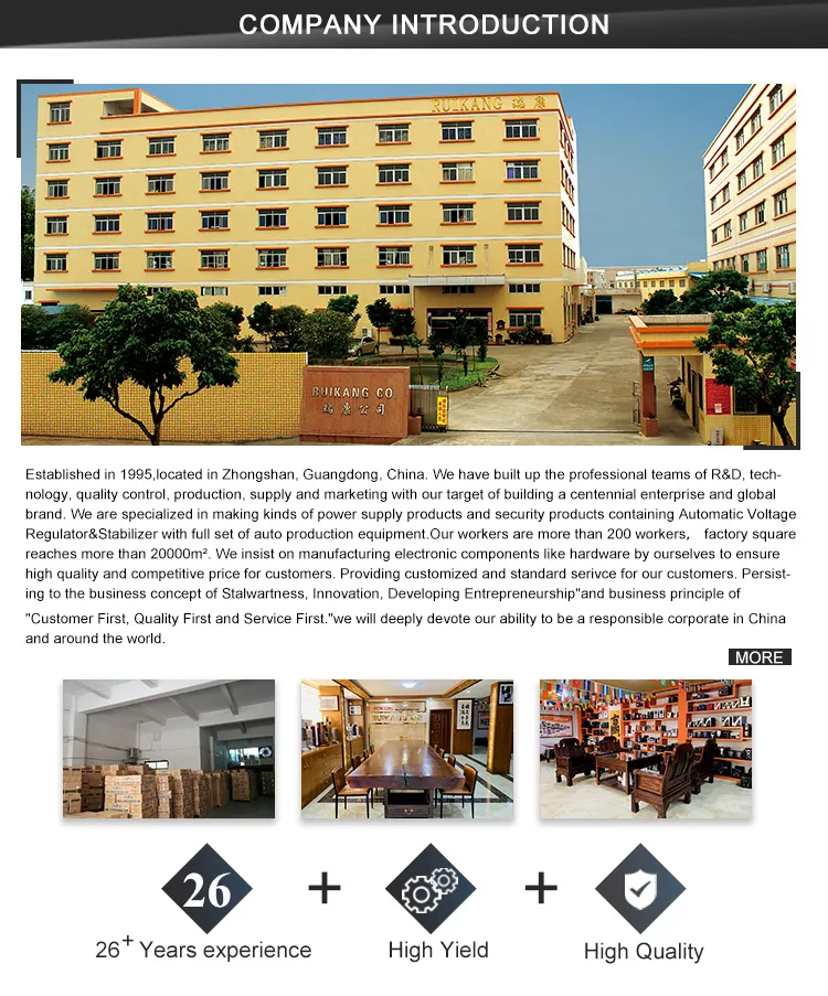 Factory Manufacturer Supply Voltage Stabilizer 110 220V