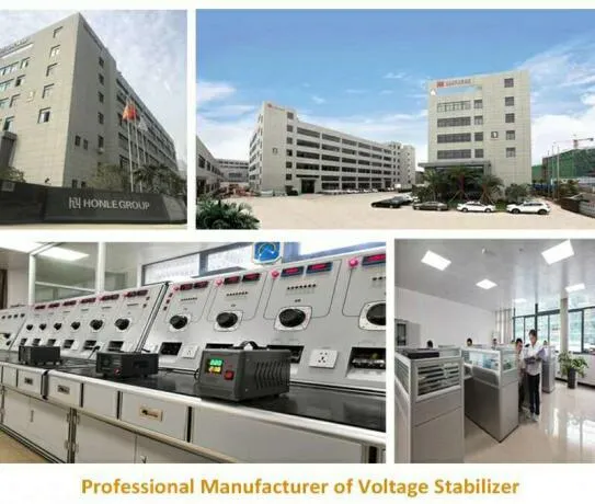 Honle Hln-3000va Full-Auto Inverted Power Source Voltage Stabilizer