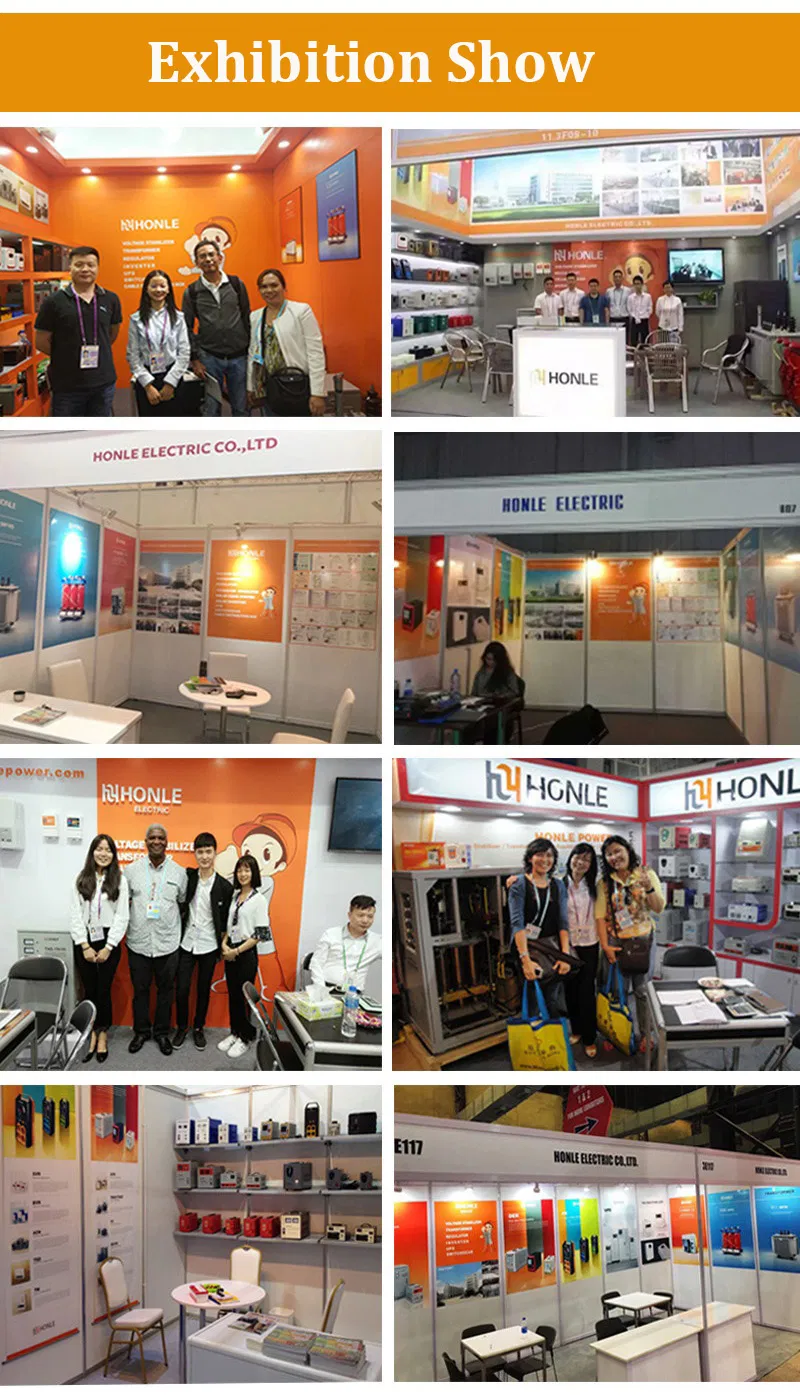 Hot Sale High Quality Honle Tns Series Three-Phase Voltage Stabilizer