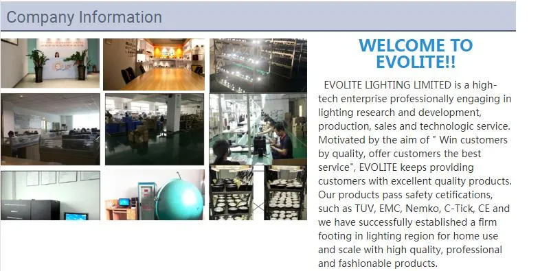 Hot Selling Standard Australia Dimmer LED Dimmer Rotation Dimmer for LED Downlight