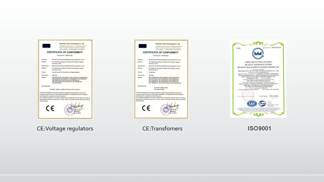 Less Than 1 Second Response Time Power AVR Voltage Regulator 220V 6000va with Voltmeter Dedicator