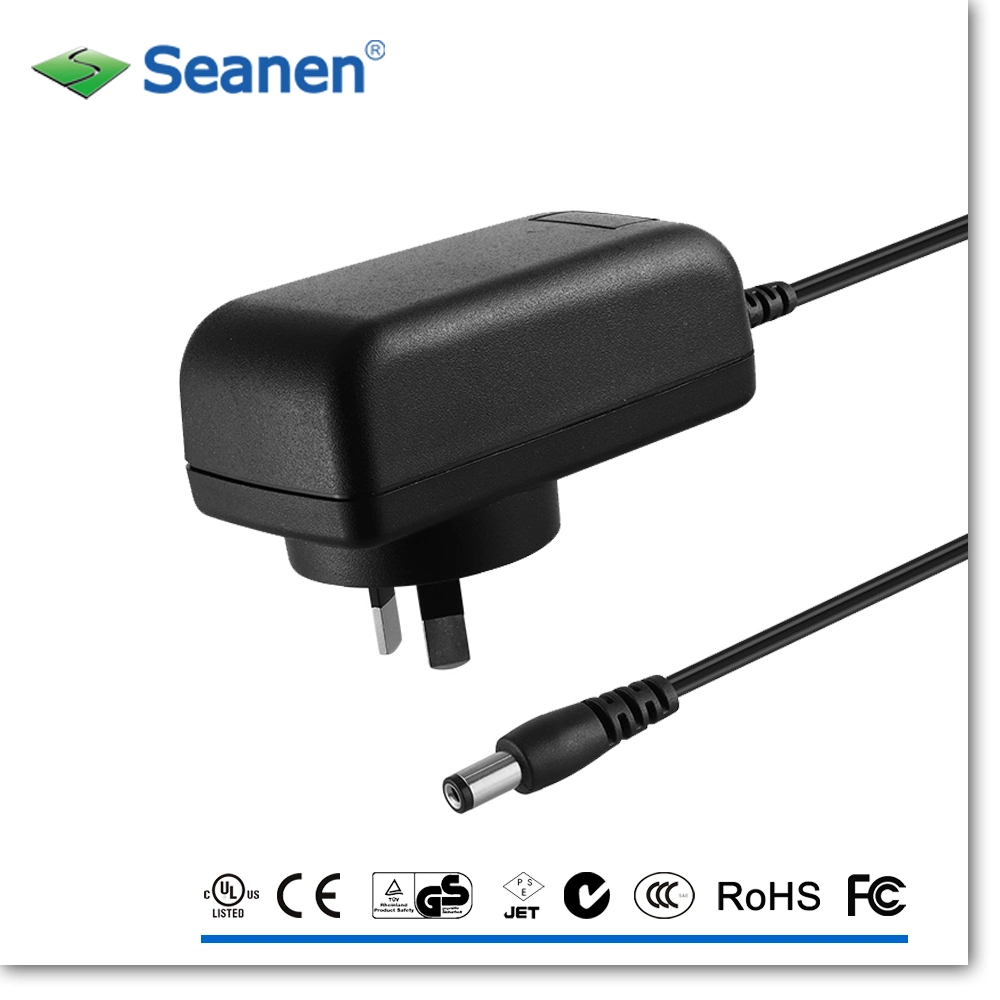 UL GS Ce SAA Approved 24W Switching Power AC/DC Adapter
