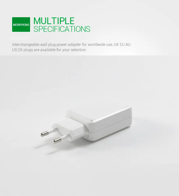 Universal 100-240VAC 50/60Hz EU Switching Power Charger Adapter 5V 500mA with Ce GS CB Approval