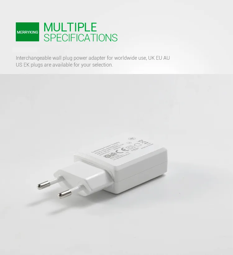 Universal 100-240VAC 50/60Hz EU Switching Power Charger Adapter 5V 500mA with Ce GS CB Approval