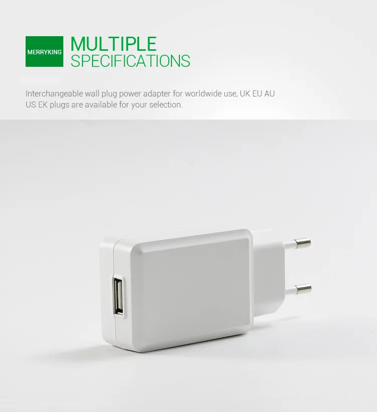 Universal 100-240VAC 50/60Hz EU Switching Power Charger Adapter 5V 500mA with Ce GS CB Approval